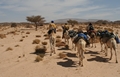 Algerien - Tamanrasset März 2008 Kameltour Tag 2