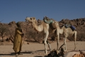 Algerien - Tamanrasset M&auml;rz 2008 Kameltour Tag 6