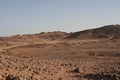 Algerien - Tamanrasset M&auml;rz 2008 Kameltour Tag 6