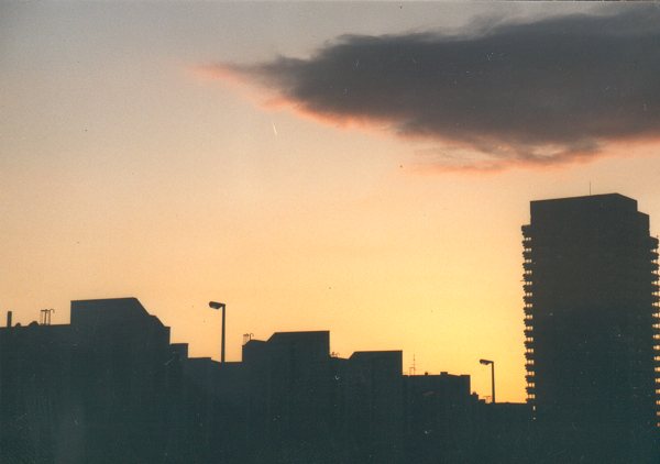 06.jpg