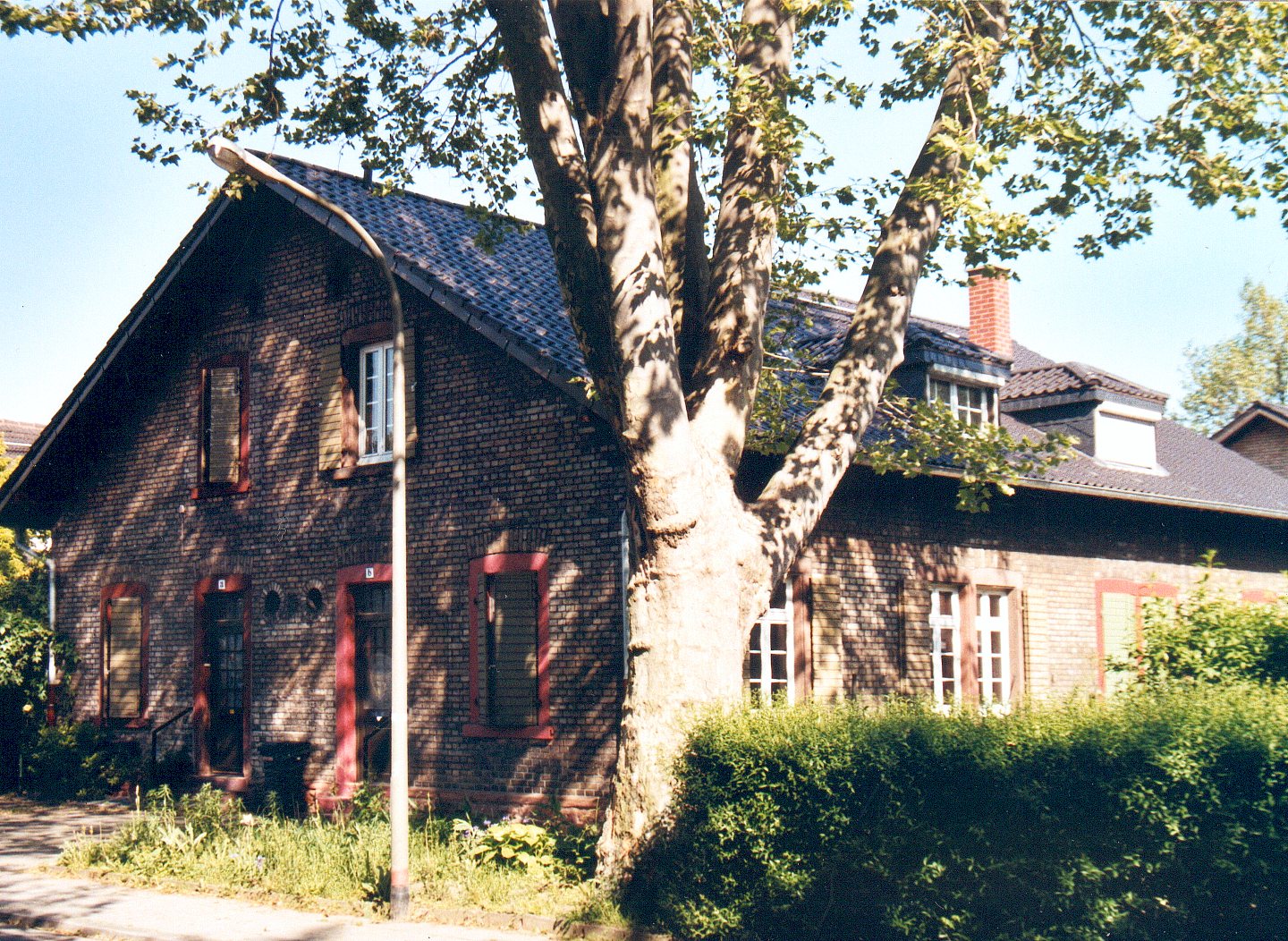 05.jpg